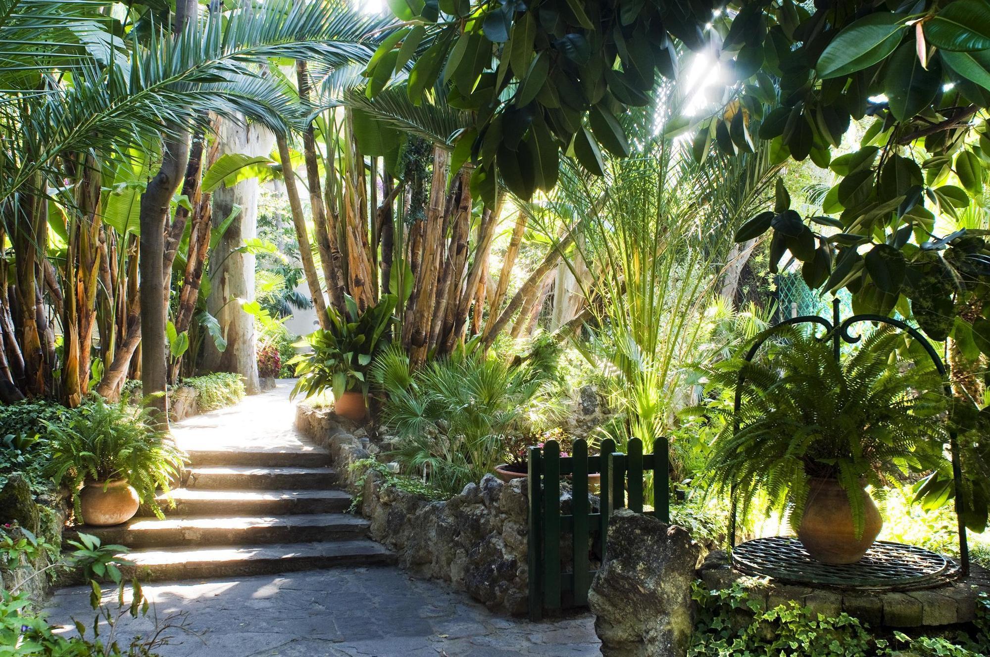 Hotel La Villarosa Terme Ischia Eksteriør billede